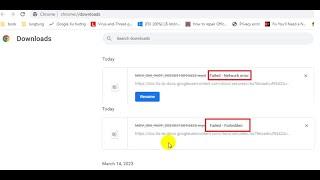 Fix file download errors Failed Network error or Failed Forbidden