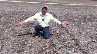 Marion Calmer - On-Farm Research Series Part 7 - Soybean Residue Management