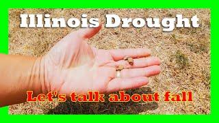 Illinois drought hitting hard. Let's talk the plan for Fall