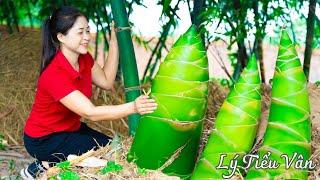 How to harvest Bamboo Shoots & Go to the market to sell - Farming and Cooking | Daily Life