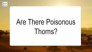 Are There Poisonous Thorns