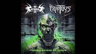 Vektor / Cryptosis - Transmissions of Chaos (Full Split-EP) (2021)