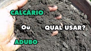 Calcário ou adubo? qual usar?