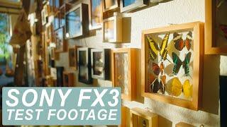 Sony FX3 Test Footage | Sigma 24-70mm F2.8 | Graded with Phantom LUTs