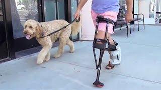 Crutches and Knee Scooters Are Obsolete - See Why the iWALK2.0 Changes Everything