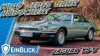 Mehr STIL & STYLE pro €! Jaguar XJ-S 3.6 (1989) - Zeitloser Klassiker für jedes Budget?