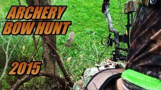 Bow Hunting Deer + RARE Black Pennsylvania Mountain Lion aka House Cat! - 2015