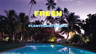 [Sold Out] 코드쿤스트 X 기리보이 타입 비트 - Fresh (prod. plantplantworld) / Type Beat 2019
