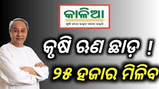 କୃଷି ଋଣ ଛାଡ଼!/25 thousand rupees will be available/technical surya 01/Agricultural loan waiver/loan