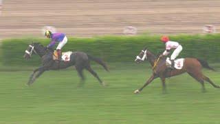 1st Race The Naran Plate Distance 900 Meters Winner Falco ( Pakistan Horse Racing )