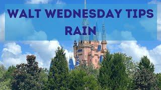 Walt Wednesday Tips: Rain (how to deal with it!)