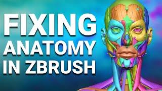 How To Fix Broken Anatomy in ZBrush