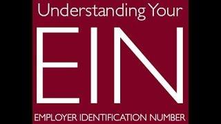 Understanding The EIN & Its Corporate Structure