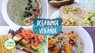  4 DESAYUNOS NUTRITIVOS Y FÁCILES | Comer Vegano