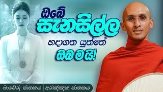 174. ඔබේ සැනසිල්ල හදාගත යුත්තේ ඔබ ම යි! | බාවේරු ජාතකය | අරඤ්ඤක ජාතකය | 2023-11-15