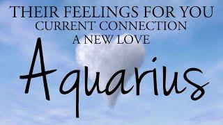 AQUARIUS love tarot ️ This Person Is Worried That They Have Lost An Opportunity With You Aquarius