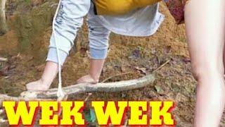 Lagi gituan di hutan || bikin gak tahan