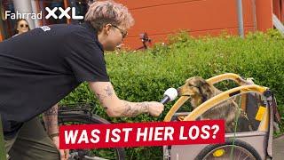 Fahrrad XXL Kalker Testival - ein Blick hinter die Kulissen