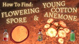 How To Find FLOWERING SPORE & YOUNG COTTON ANEMONE (Benzene, Hydrochloric) || Subnautica Below Zero