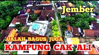 KEINDAHAN SUASANA KAMPUNG CAK ALI DARI UDARA || SERUT PANTI JEMBER JAWA TIMUR