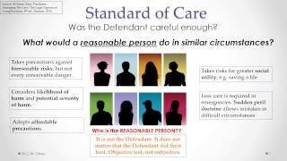 Tort of Negligence: Standard of Care