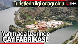 Artvin’de Etrafı Sularla Çevrili Çay Fabrikası İlgi Çekiyor