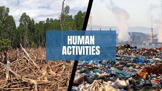 Human Activities Affecting Environment | Filaantro