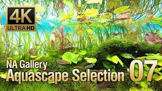 [ADAview] -4K- NA Gallery Aquascape Selection vol.7  ネイチャーアクアリウムギャラリー 水景セレクション7