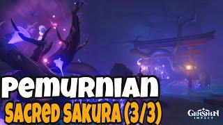 Pemurnian Sacred Sakura Part 3 | GENSHIN IMPACT