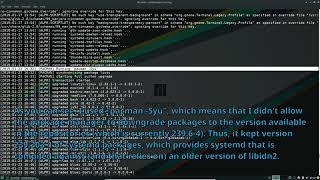 [Manjaro upgrade] Demo manjaro-chroot - Repair libidn2 error at boot (broken system)