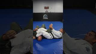 7 submissions from the mount! #jiujitsu #jiujitsutips