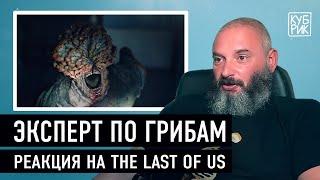 Миколог Михаил Вишневский комментирует сцены из сериала The Last of Us (Одни из нас)