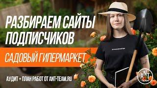 SEO аудит сайта darvin-market.ru