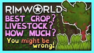 RimWorld Food Guide - How Many Crops or Animals Do You Need?