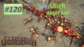 Empires of the Undergrowth #120: UBER Army Ant VS The Conqueror Meatcutter ant