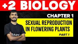 Plus Two Biology | Chapter - 1. Sexual Reproduction in Flowering Plants | Eduport Plus Two