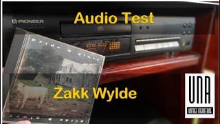 Zakk Wylde "Losin your mind" | Pioneer PD-204 #zakkwylde