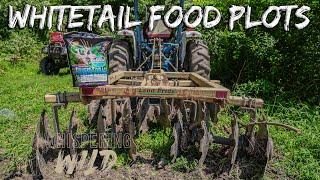 Whitetail Deer Hunting Food Plots for Early & Late Season