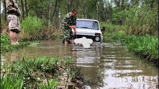 Кладоискатели снова в деле. Находки есть!