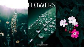 Flowers Mobile Photography Preset | Lightroom Mobile Presets DNG & XMP Download
