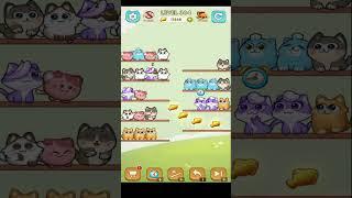 CAT SORT PUZZLELVL 364 Gameplay Walkthrough  #shorts #catsort #catsortpuzzle #walkthrough #funny