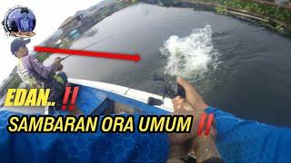 DI KIRA BUAYA NYAMBER UMPAN‼️ TERNYATA MAMA TOMAN BESAR | FISHING GIANT SNAKEHEAD