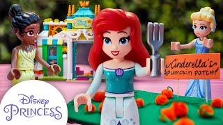 Ariel's Missing Dinglehopper | Disney Princess Club