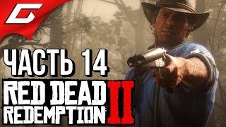 RED DEAD REDEMPTION 2  Прохождение #14  КОНИНА НА УЖИН