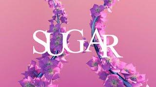 Sugar - (Flume Inspired Granular Sample Pack)