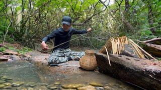 Cắm Câu Trong Rừng Già fishing for snakehead fish in the old forest