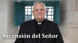  VII DOMINGO DE PASCUA. ASCENSIÓN DEL SEÑOR - Reflexión del obispo de Cartagena