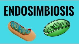 Endosimbiosis (teoría endosimbiótica)