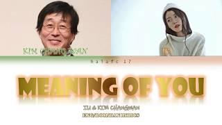 IU (아이유) Feat. Kim Chang Wan (김창완) - Meaning of You/너의 의미 (Color Coded Lyrics Eng/Rom/Han/가사)