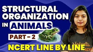 Structural Organization in Animals Part 2 | Class 11 Biology | NCERT Line By Line